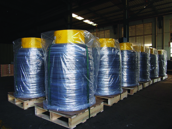 W020251125575299601268