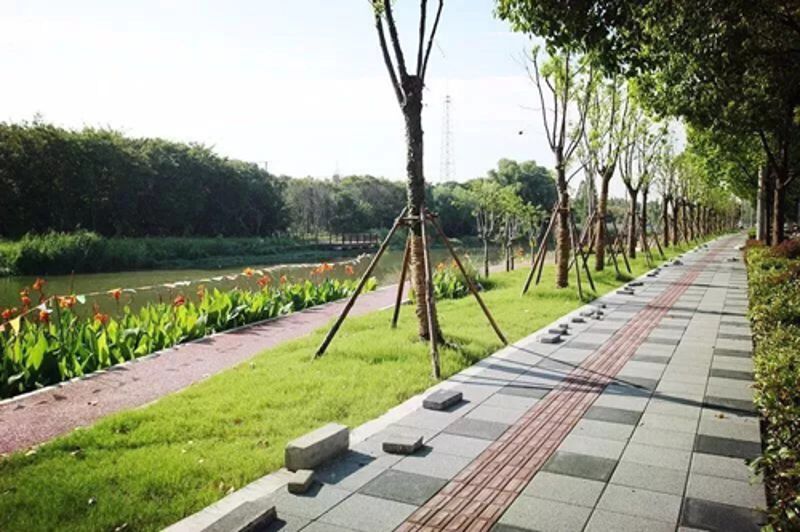 GA黄金甲·(中国区)官方网站